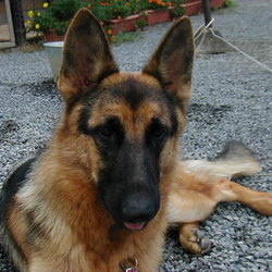 マリンのぺろりんちょ！！みっけ！