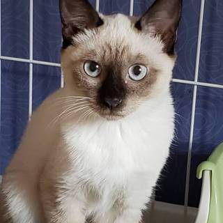 名前はそのままリコちゃん☆リコちゃん5ヶ月