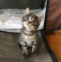 生後1カ月の姉妹