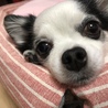 の写真