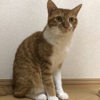 じろう