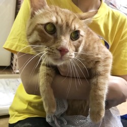 「Julia　初めての・・・・」サムネイル1