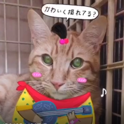 「Julia　初めての・・・・」サムネイル3