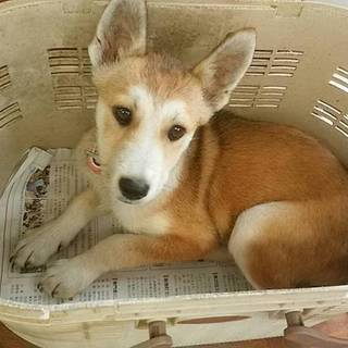 家族ができました！！
