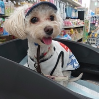 むぎ