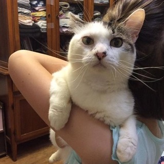 人が大好き！　健気な１歳女の子