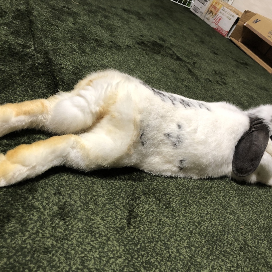 keaのカバー写真