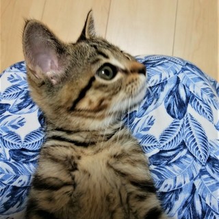アイラインくっきりの女の子！