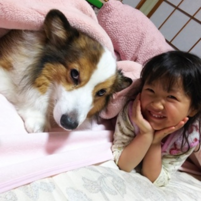 あんずぶたのカバー写真