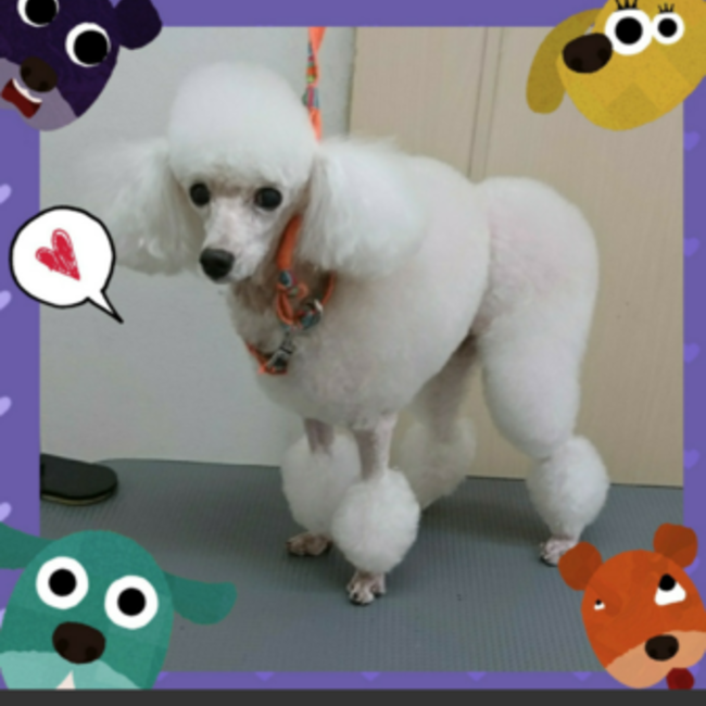 akmkのカバー写真