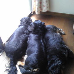 元気にならなければ笑われる。