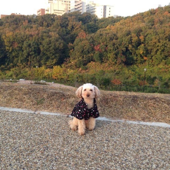 moca5555のカバー写真