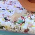 熱帯魚3匹の里親様募集