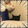 の写真