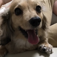 テト