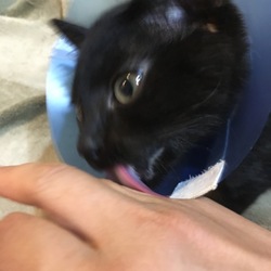 「食事の給餌」サムネイル2