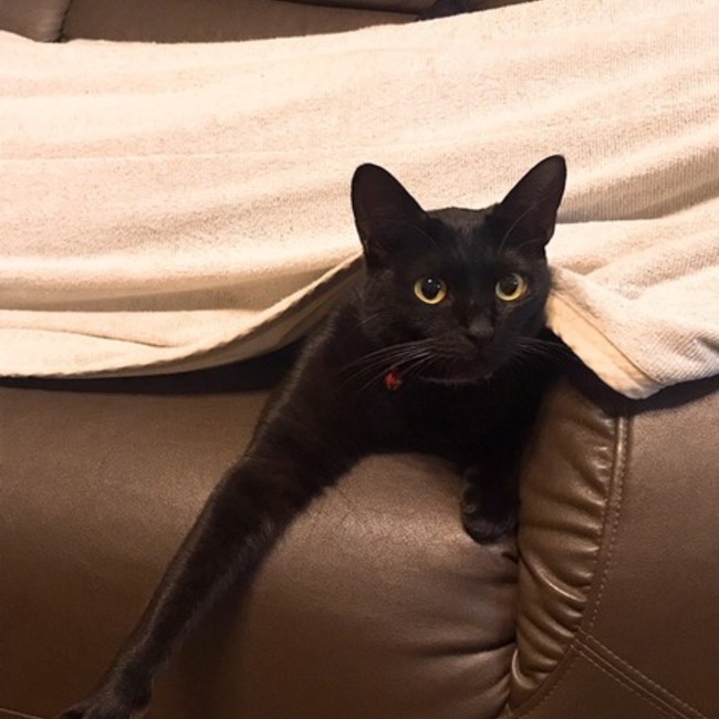 mimisuke0304のカバー写真