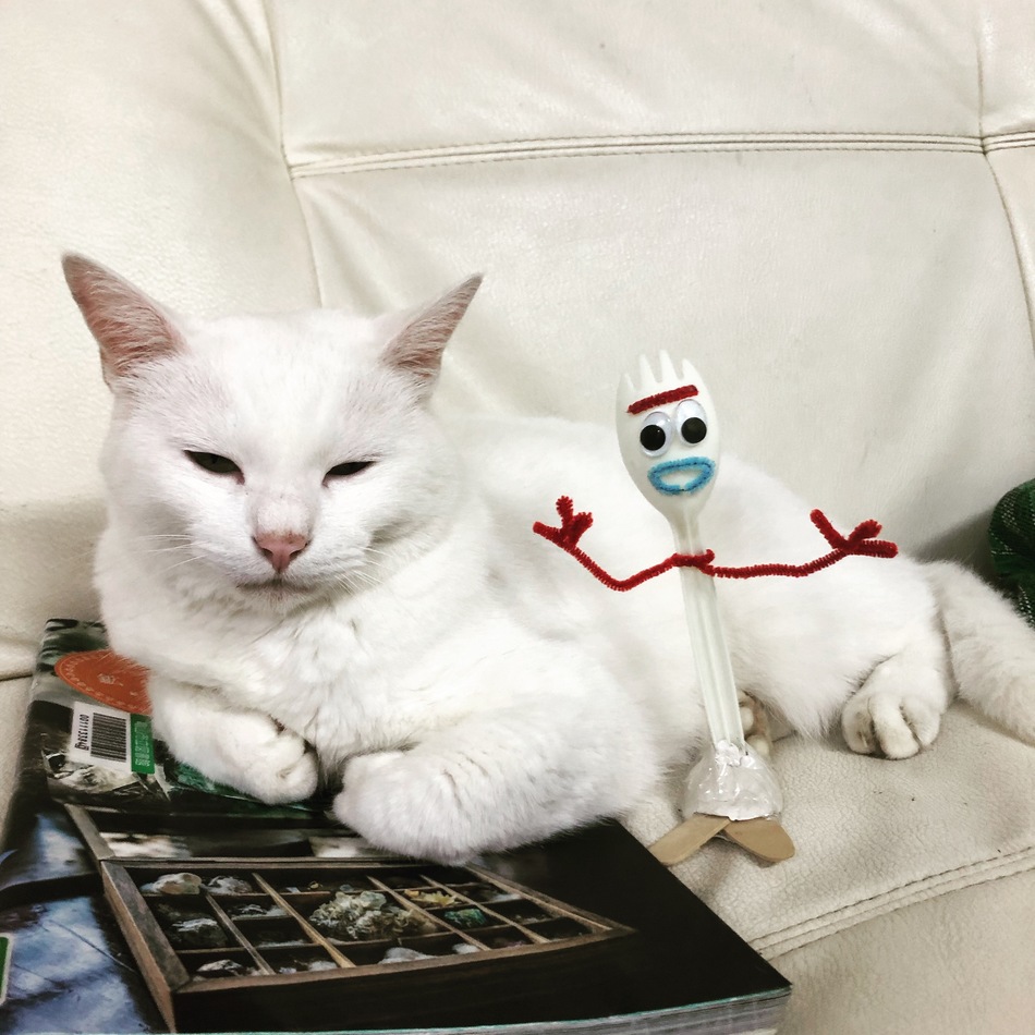 なつめのカバー写真