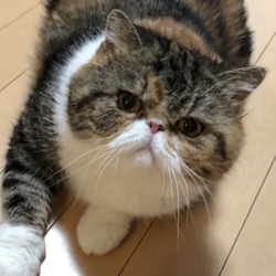 ฅ2ndฅLife◞特別編①