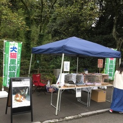 高尾霊園里親会（お彼岸） サムネイル1