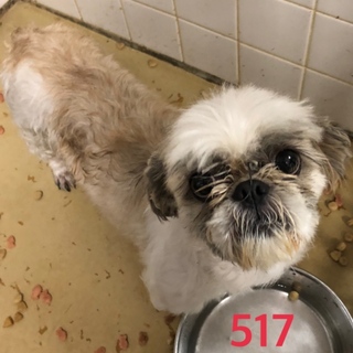 お迎えがありました！