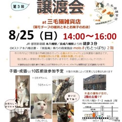 保護ねこ譲渡会 三毛猫雑貨店