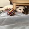 ここがお気に入り❤️