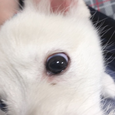 何？何？  どアップ(*´艸`*) 
