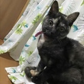 抱っこ大好き