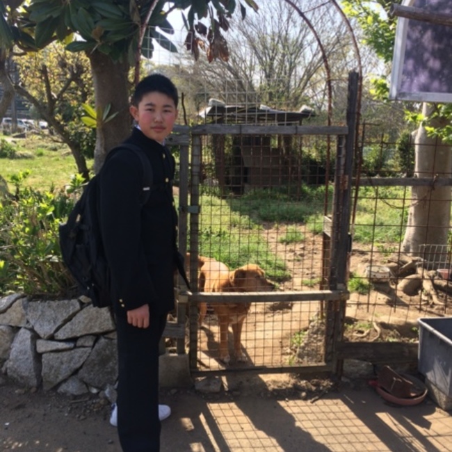 ムギコマサのカバー写真