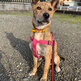 ルーク⭐️性格抜群の男の子