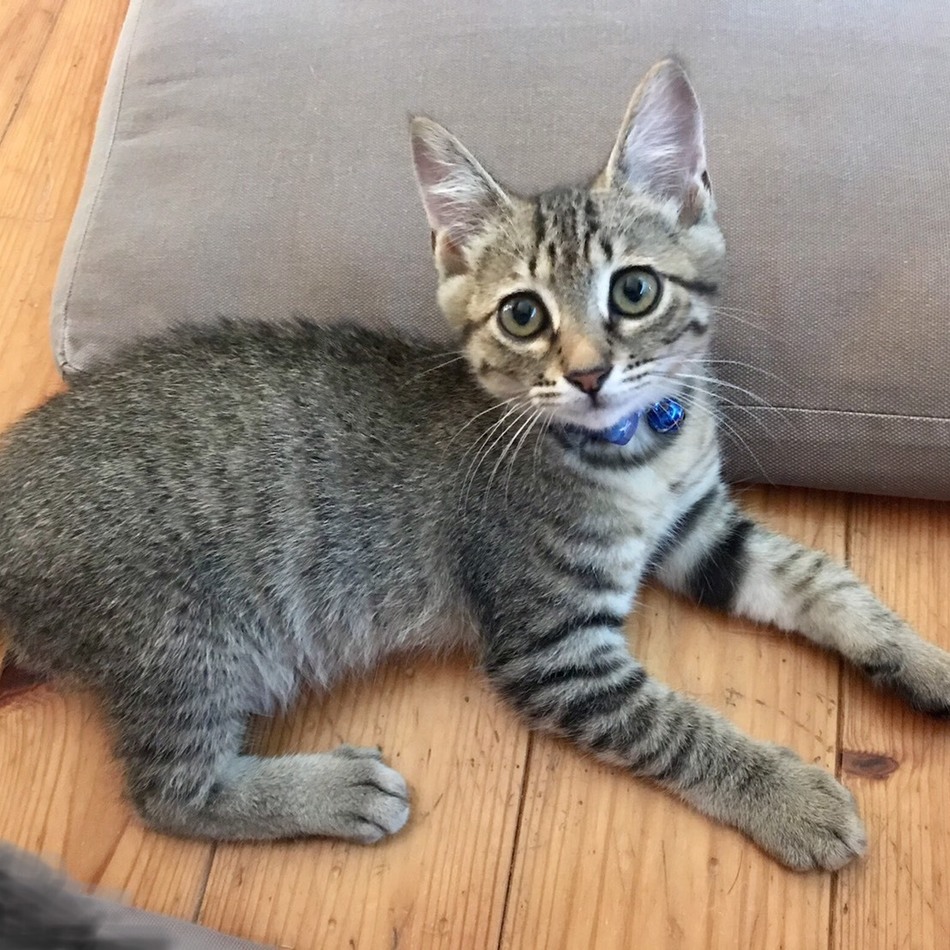 多聞のカバー写真