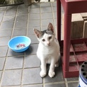 元気な兄弟達です