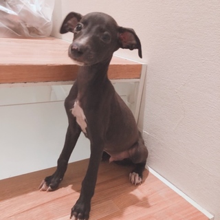 暖かい家族が決まりました！