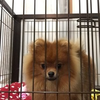 もなか