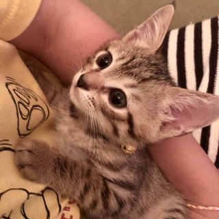 天真爛漫で天然、可愛すぎるQ君❗️