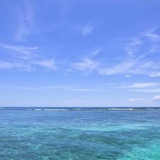 可愛がってくださる方お願いします