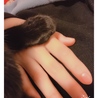 の写真