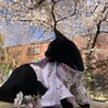 の写真