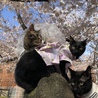 春の家族記念写真