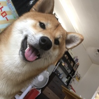 テツ