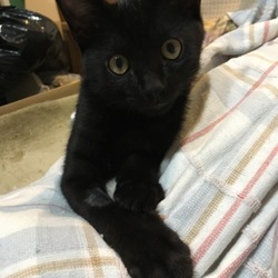 早すぎますよ…