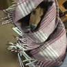 お気に入りの毛布で ぬくぬく