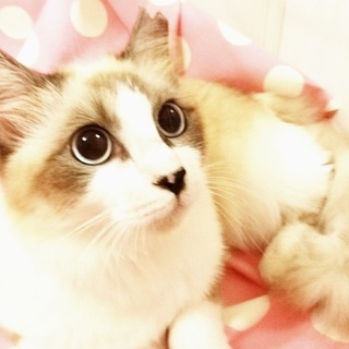 遠路はるばる沖縄からやってきた！