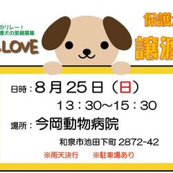 譲渡会(仔犬たちも6匹やってくるー) サムネイル1