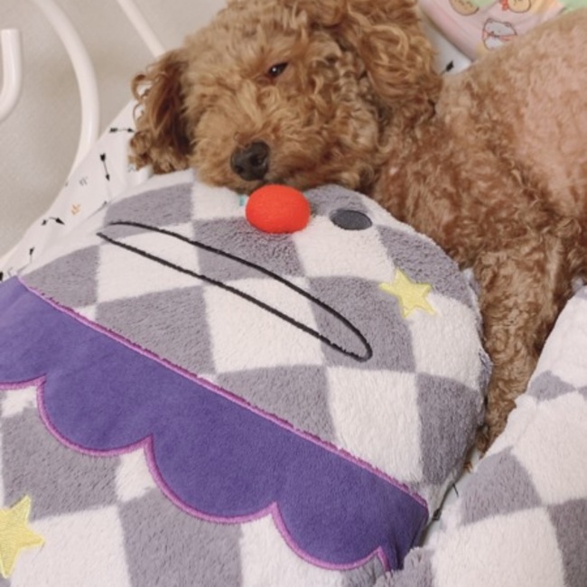 ささみ38のカバー写真