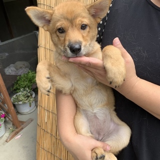 里親さま決まりました☆