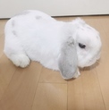 文章を修正予定です。また掲載予定です