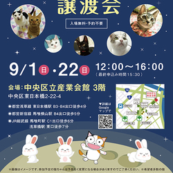 ねこざんまい譲渡会@東日本橋
