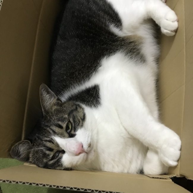 ワタナベ08のカバー写真